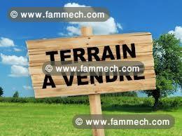 terrain au niveau du boumhal