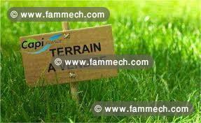 Terrain 550m2 avec garage