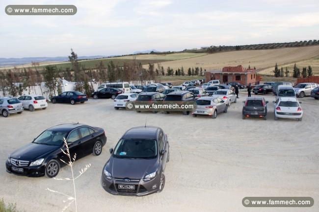 des  LOTS  DE TERRAINS  AGRICOLE