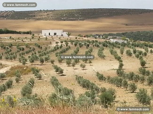 hectare   agricole
