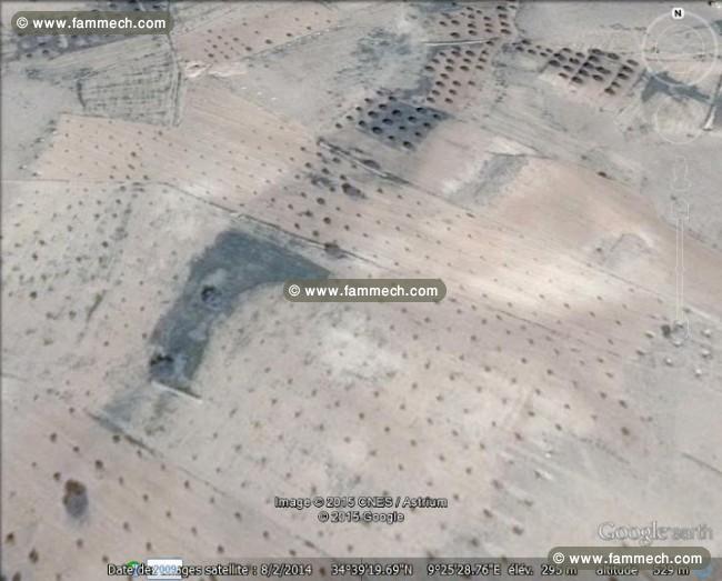 Terrain agricole à Menzel Bouzaienne Sidi Bouzid