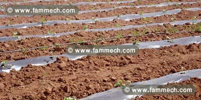 projet agricol interressant a ceder 