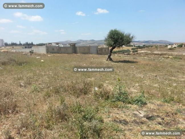 Terrain pour construire 277 m2