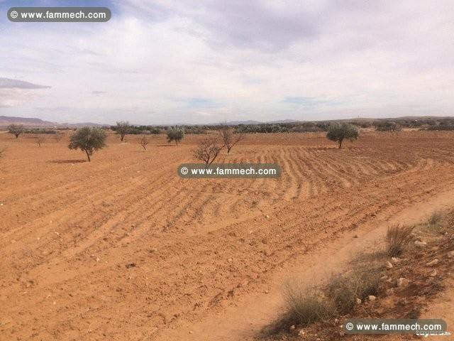Terrain à batir