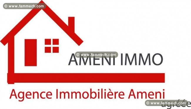 Agence immobilière AMENI-IMMO