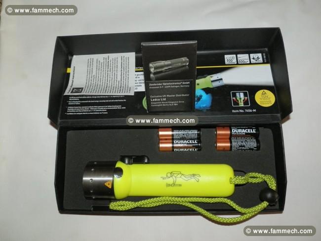 Lampe LED de sous la mer et chasse dans la foret 