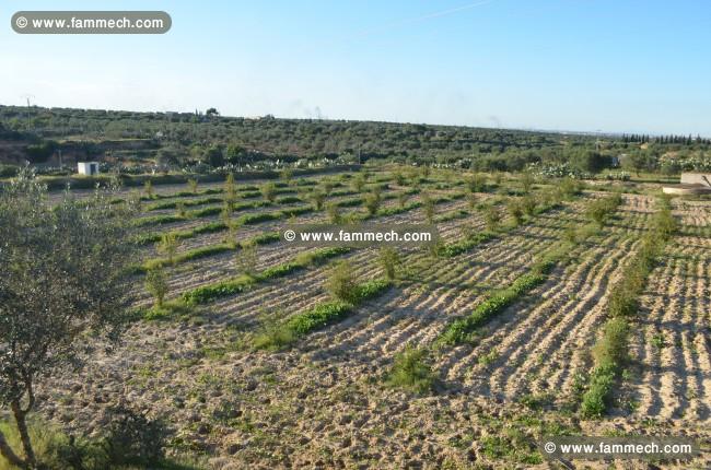 ferme agricole