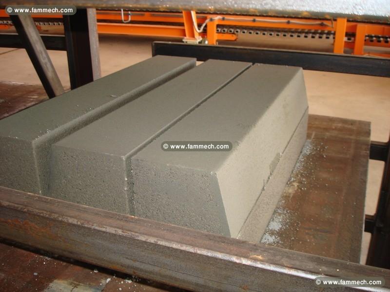 ENTREPRISE DE PRODUCTION DES BLOCS DE BETON