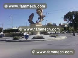 terrain a vendre