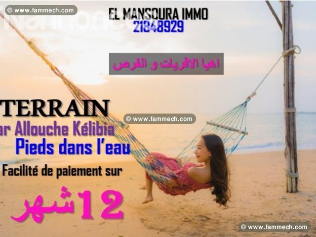 des terrains à Dar Allouch près de la mer