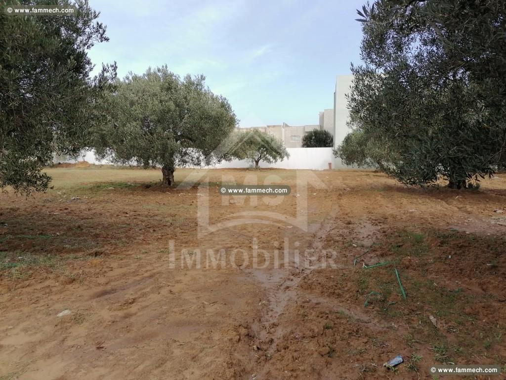 à vendre un terrain à hammamet NORD 51333131