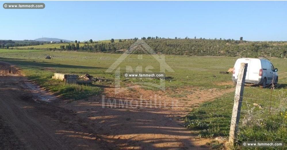 Terrain de 1000 m² à vendre à 85 MD à Hammamet Sud