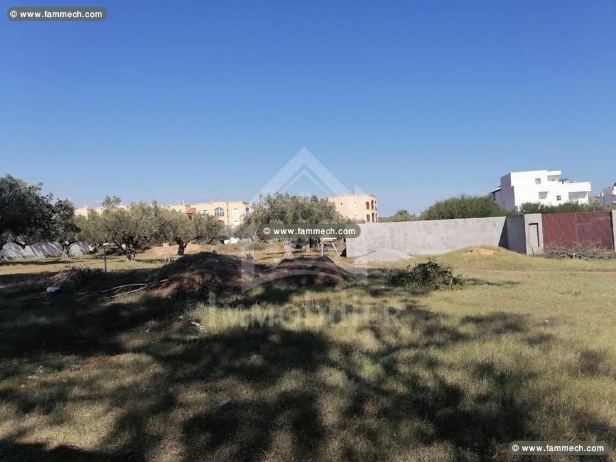 Terrain de 555 m² à vendre à Hammamet Sud 51355351