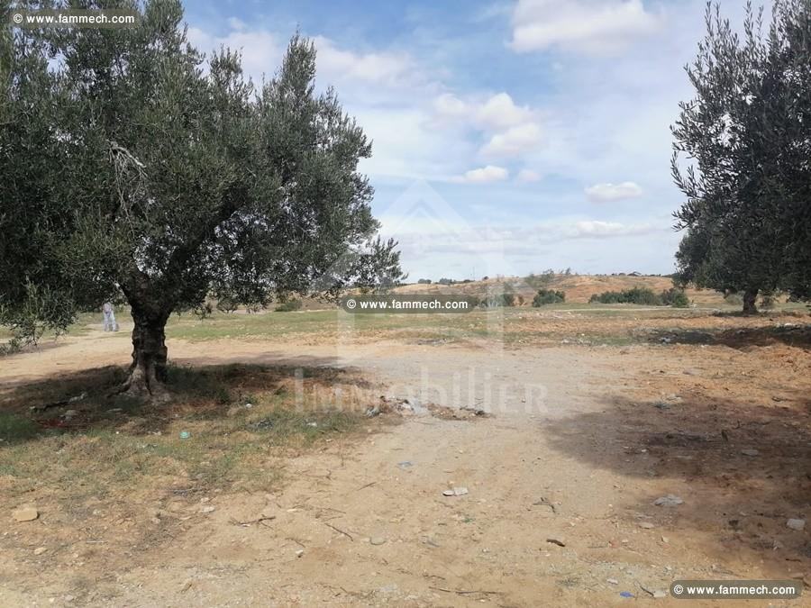 Un terrain à Manaret El Hammamet à vendre