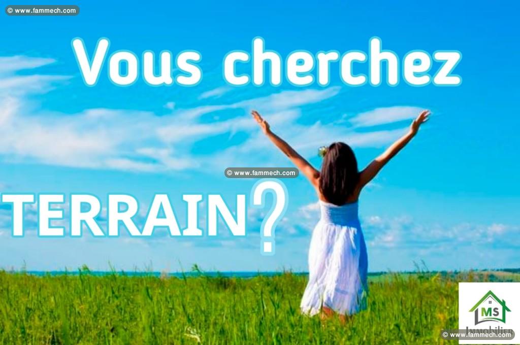 Terrain de 300 m² à vendre à 360 MD à AFH Mrezga