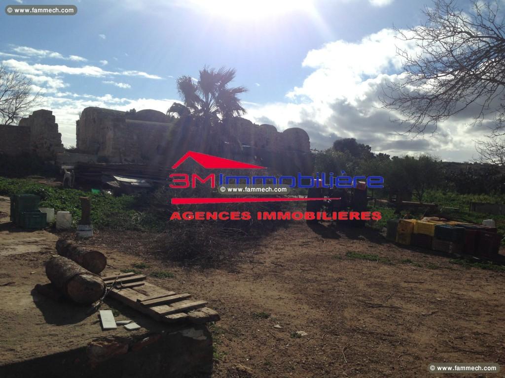 Ferme jbal hadded 3m346