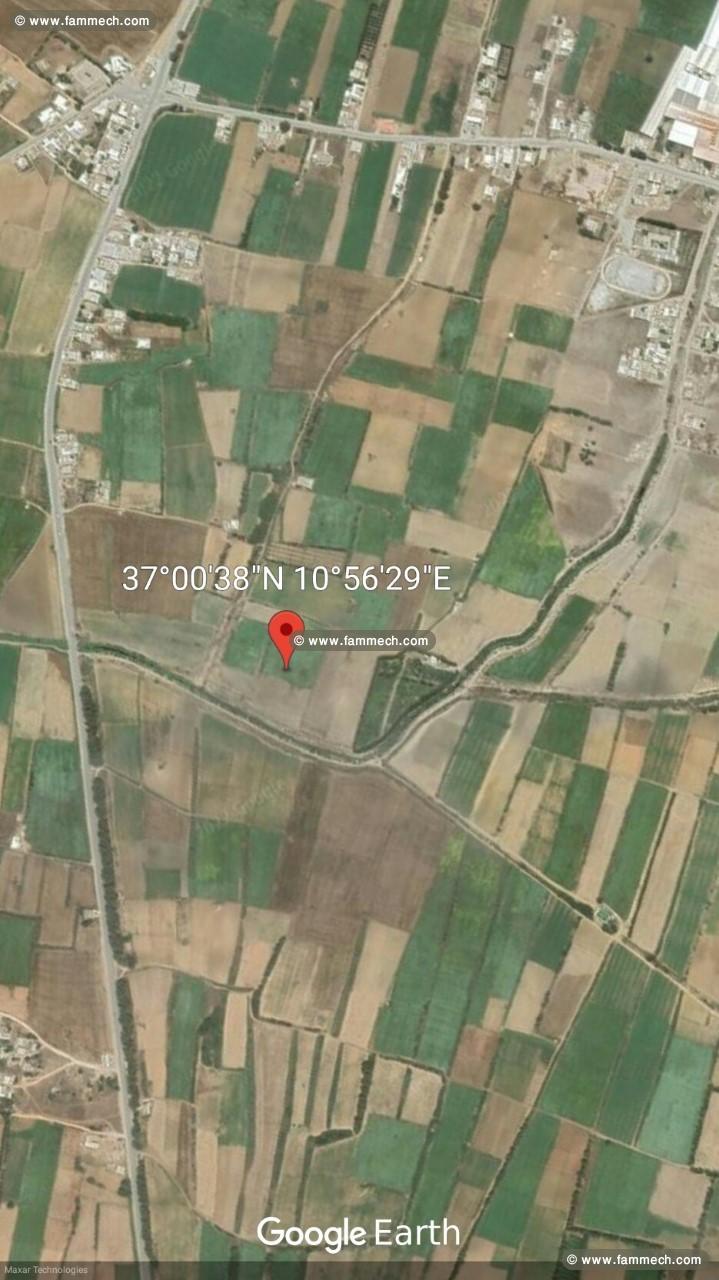 SANIA A HAMMAM SIDI DAOUD ELHAOUARIA