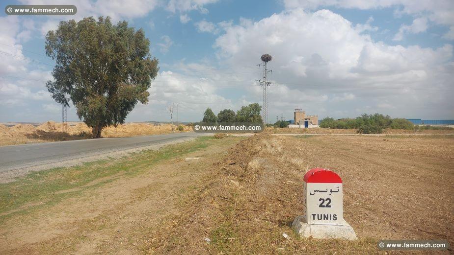 Terrain constructible sur GP5 borj amri Sonede et 