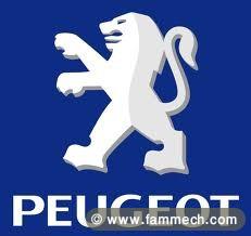 204 diesel pour pièce 