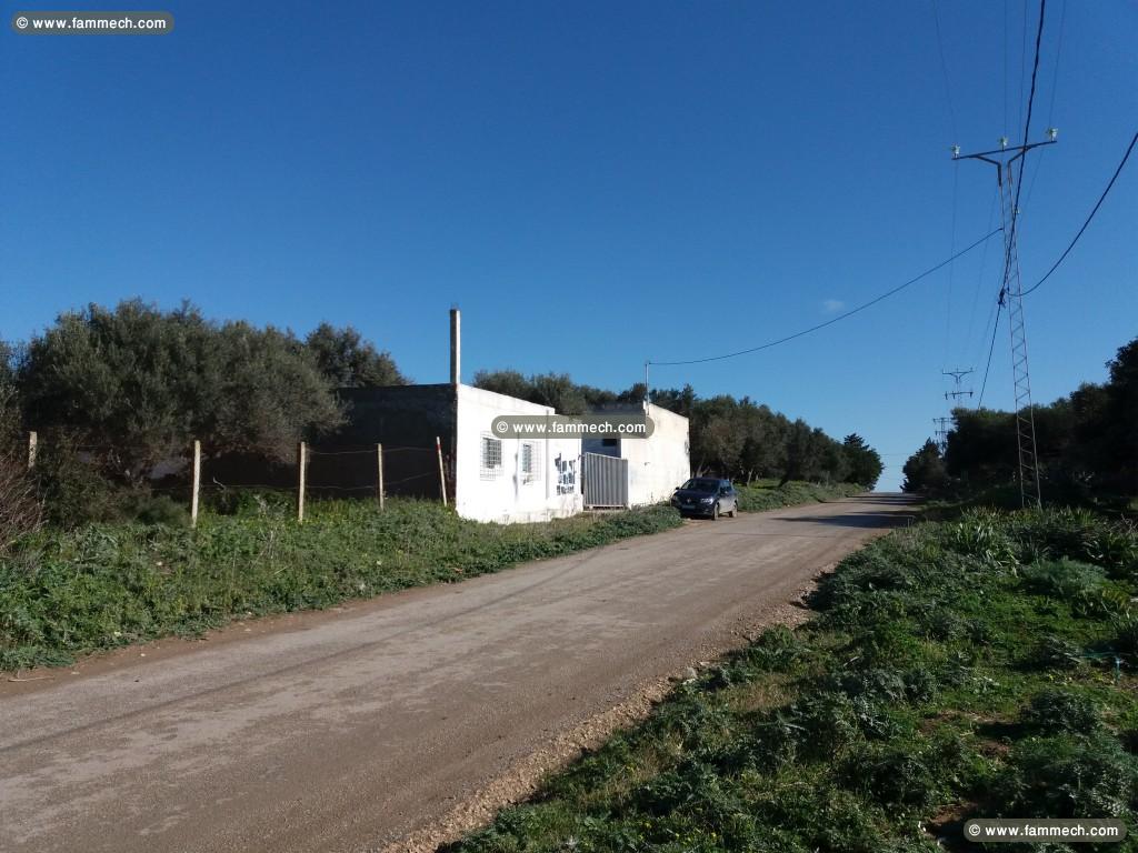3 dépots sur la route principale à vendre