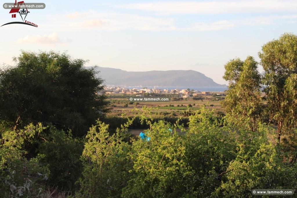 6000 m² kerkouane