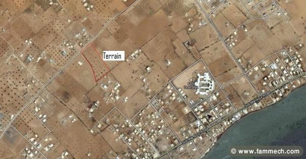 A ne pas rater terrain à batir route sidi mansour