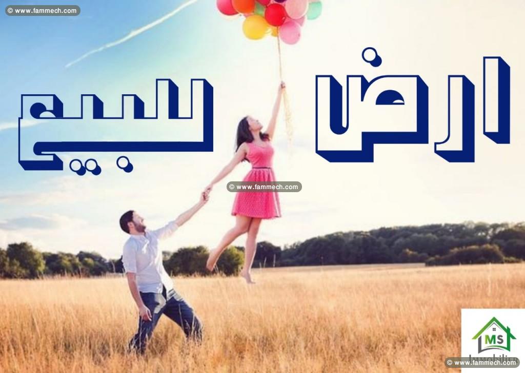 A vende, superbe terrain de 1000 m² à Sidi Hammed