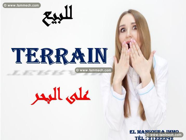 A VENDRE :Terrains sur mer à dar allouche kélibia 
