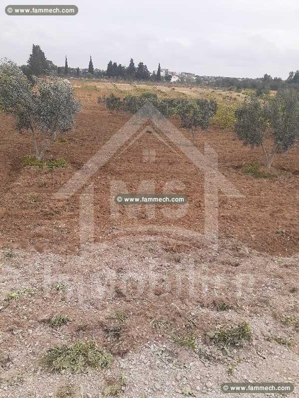 A vendre à 440 MD un superbe terrain de 2200 m²