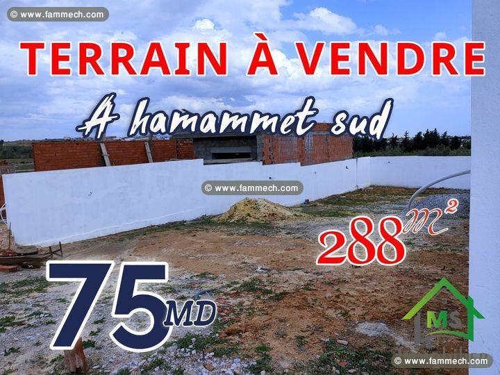 A vendre à 75 MD, Un terrain de 288 m² 51355351