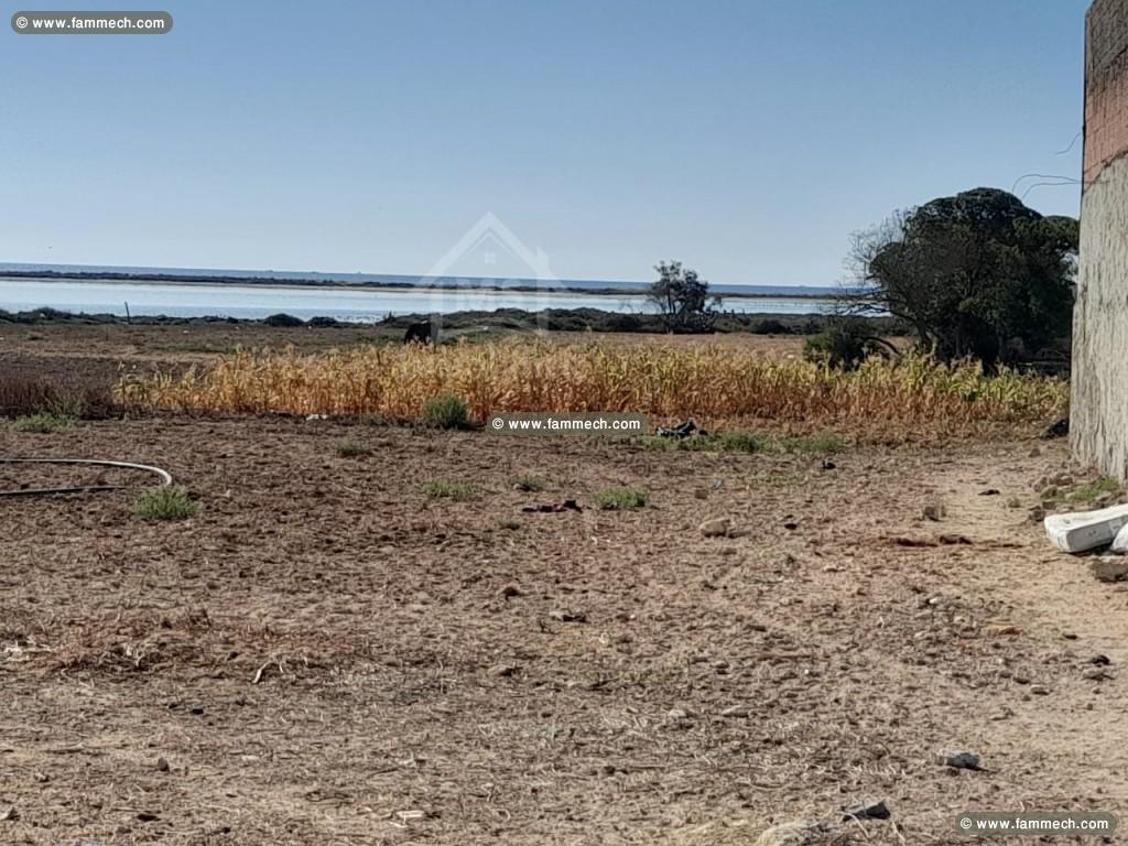 A vendre à El Maamoura, un terrain de 2737 m²  