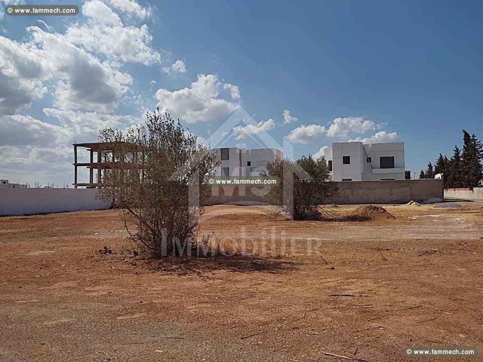 A vendre à Hammamet, superbe terrain de 500 m²