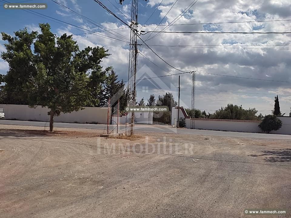 A vendre à Hammamet, superbe terrain de 500 m²