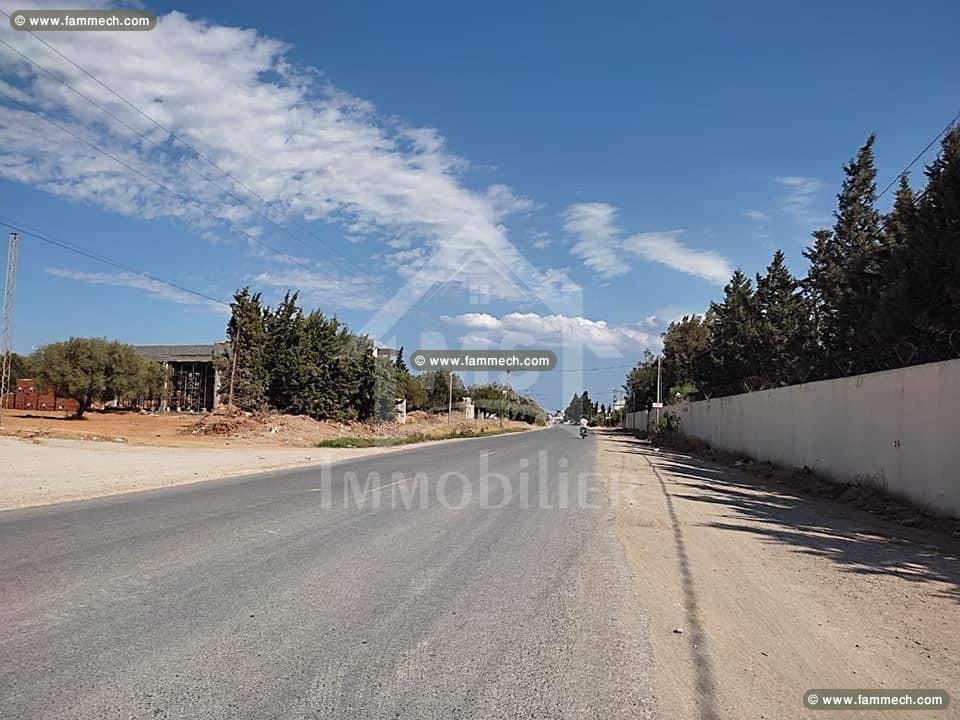 A vendre à Hammamet, superbe terrain de 500 m²