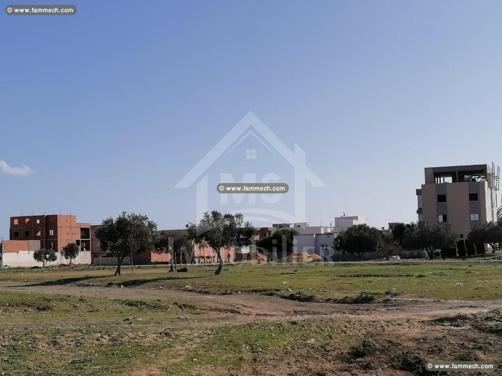 A vendre à Hammamet, un lot de terrain de 258 m² 