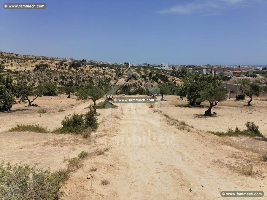 A vendre à Mrezga, des lots de terrain Vue mer