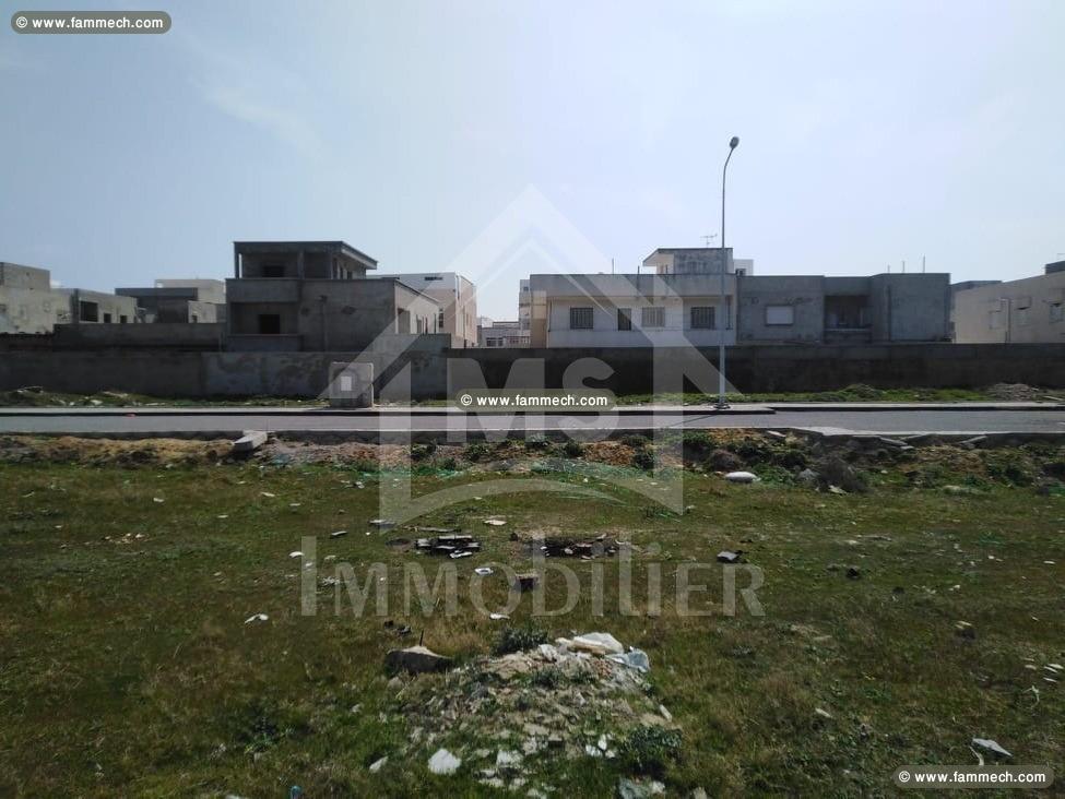 A vendre à Nabeul à 135 MD, lot de  terrain 