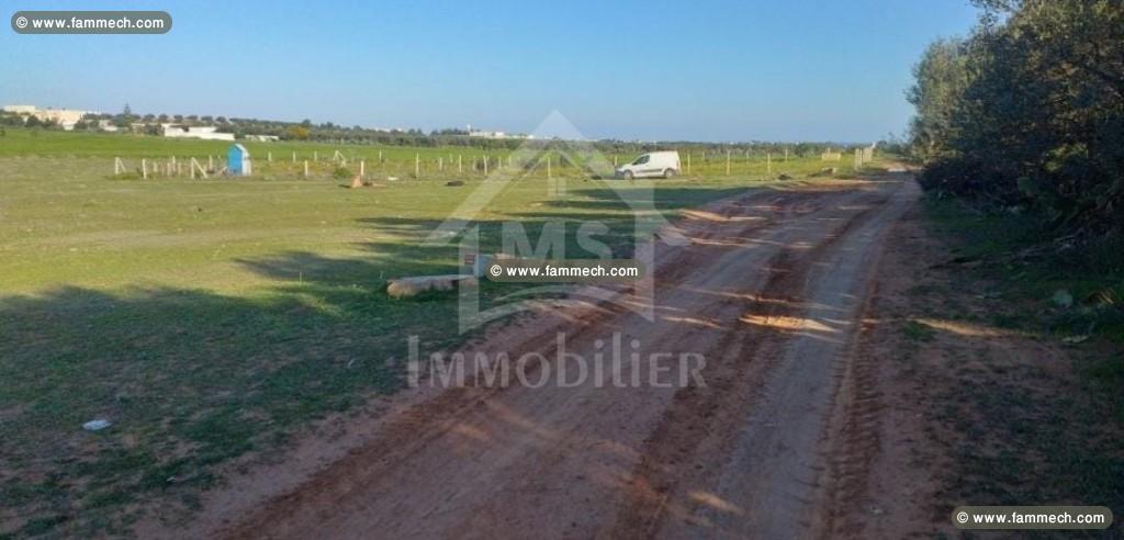 A vendre à Sidi Hammed, un terrain de 1000 m² 