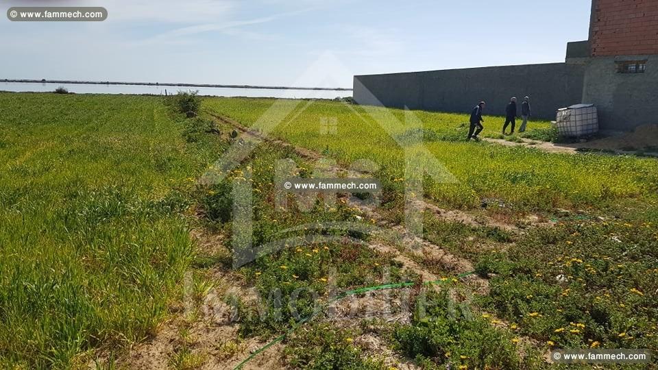 à vendre à terrain à KORBA 51333131