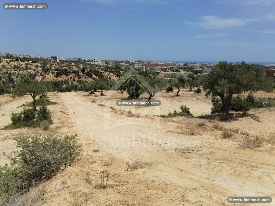 à Vendre Des Lots de TERRAIN à MREZGA 51333131