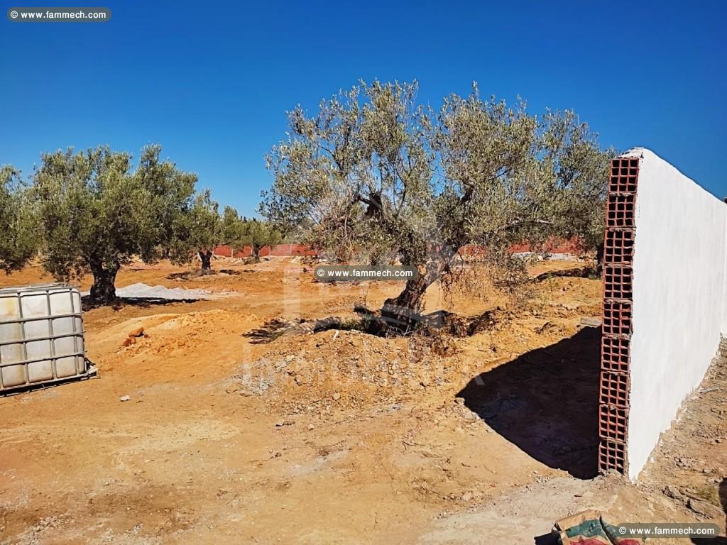 À VENDRE DES SUPERBES LOTS DE TERRAIN À HAMMAMET 