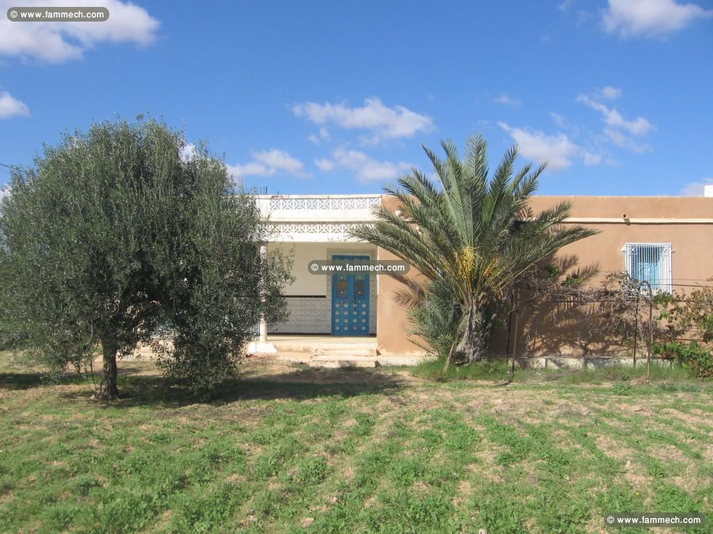 A vendre deux houch a djerba midoun