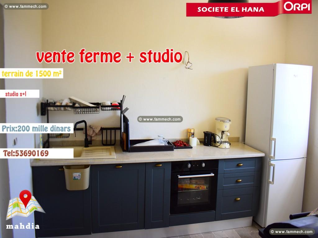 A vendre Ferme de 1500 m² à Borj arif mahdia