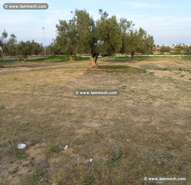 A vendre terrains constructible a Chott Mariem d'u