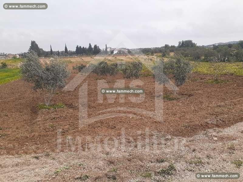 à vendre un superbe terrain 2200m² à HAMMAMET SUD 