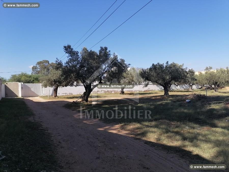 à vendre un superbe terrain 555m² à HAMMAMET SUD 