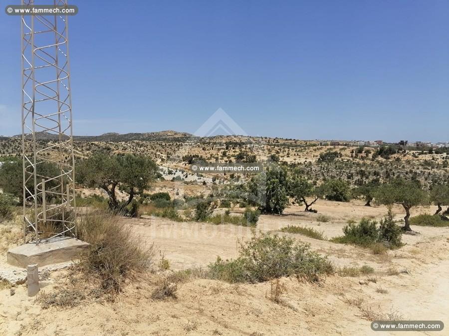 à vendre un superbe terrain à MREZGA 51333131
