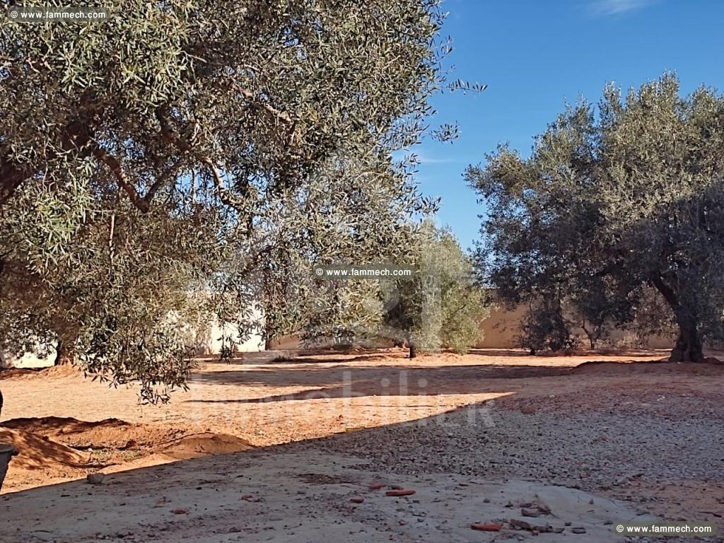 à vendre un superbe terrain clôturé à hammamet sud
