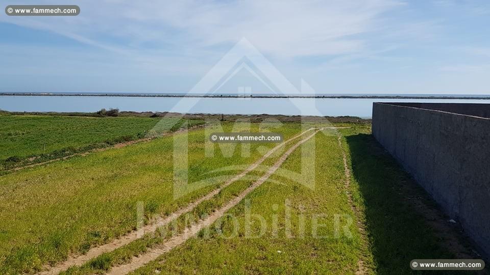 à vendre un Terrain 2450m² à KORBA 51333131