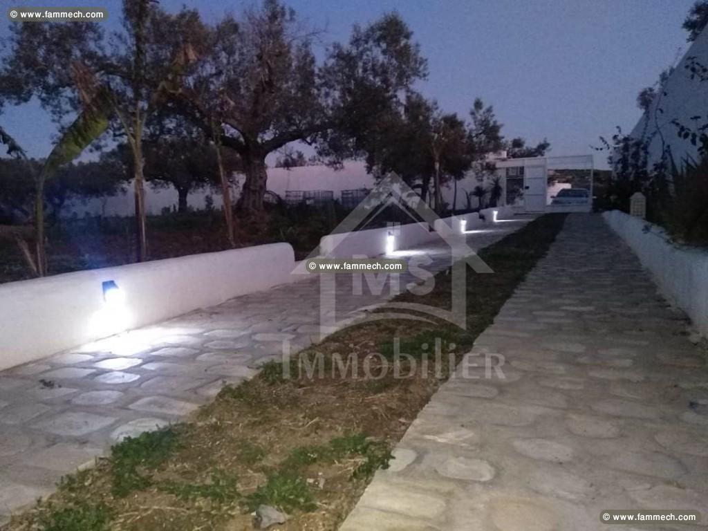à VENDRE UN TERRAIN 3000m² à HAMMAMET SUD 51333131